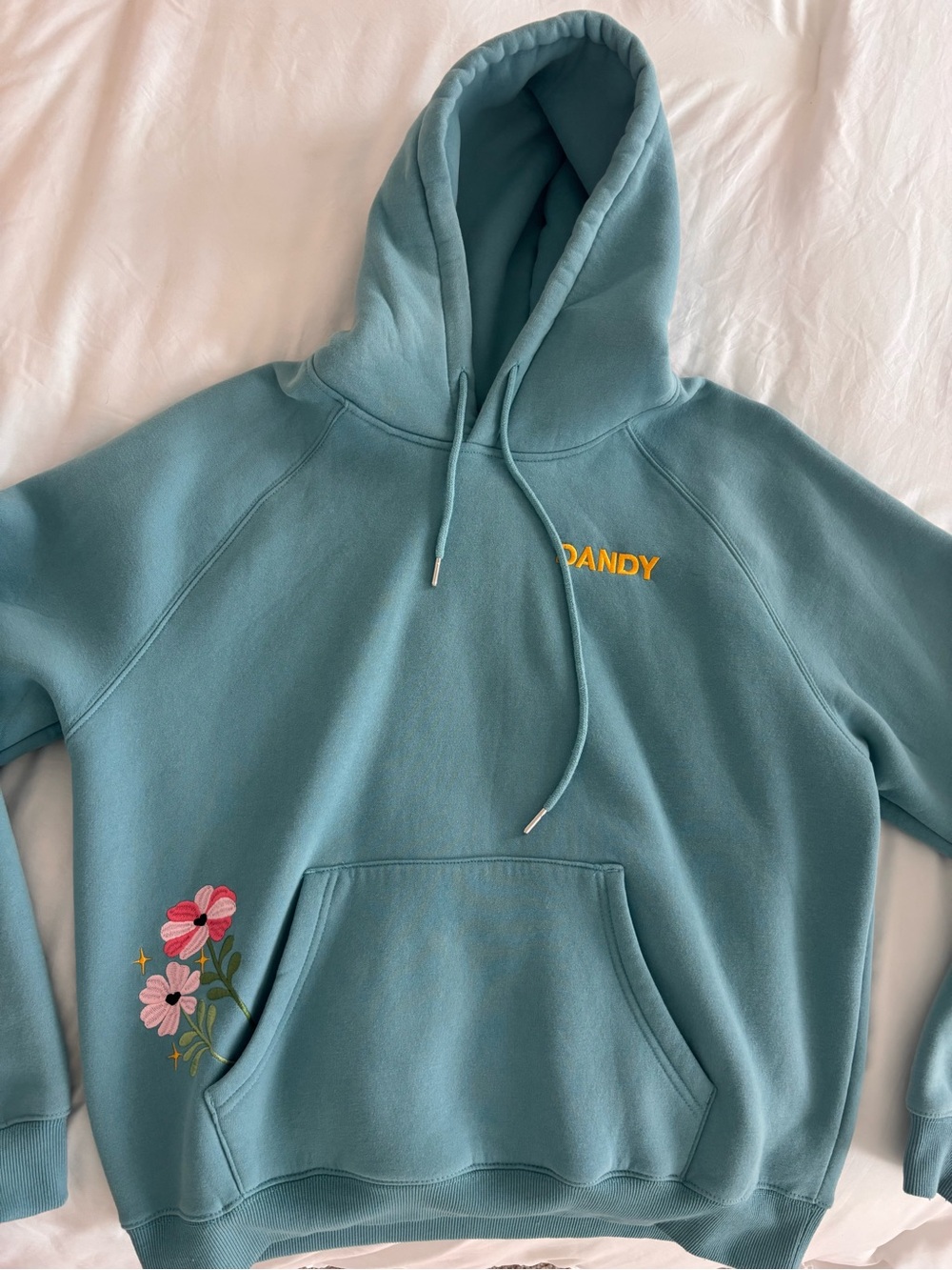 *WORN ONCE* teal dandy worldwide giftgiving hoodie